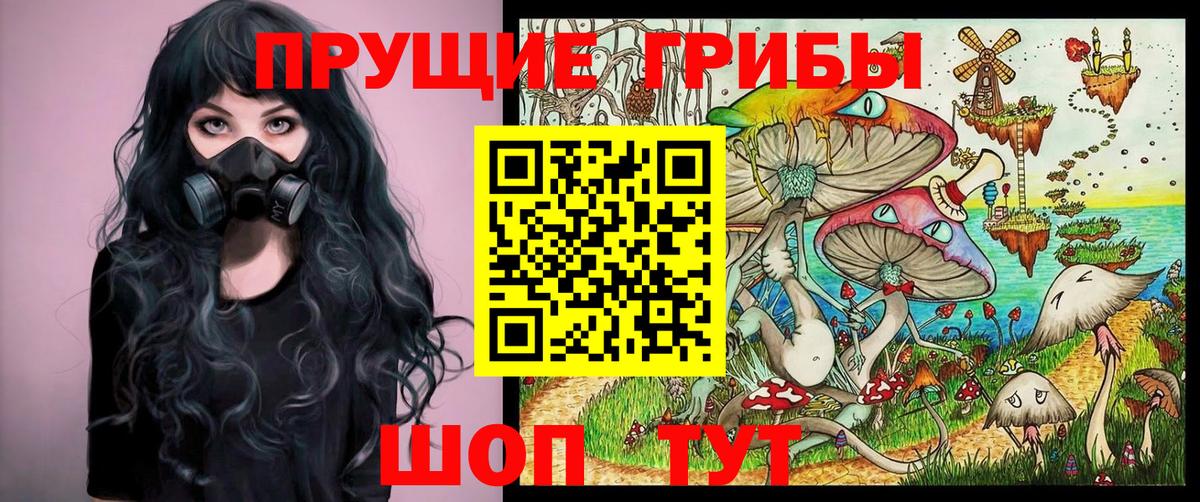 Чайковский  Галлюциногенные грибы Psilocybe  Вход с VPN  Галлюциногенные грибы MAGIC MUSHROOMS 