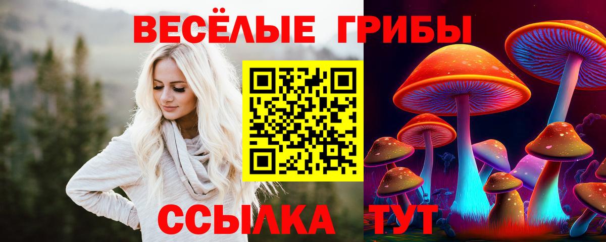 Галлюциногенные грибы мицелий Чайковский